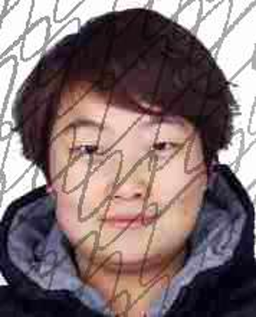 翟书真